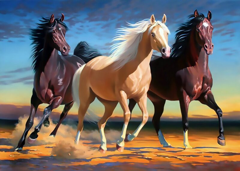 3 Arabian Horses - Hand Painted Oil Painting On Canvas