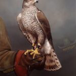 The Falcon – Hand Painted Oil Painting On Canvas