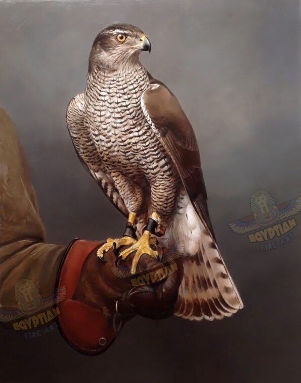 The Falcon - Hand Painted Oil Painting On Canvas