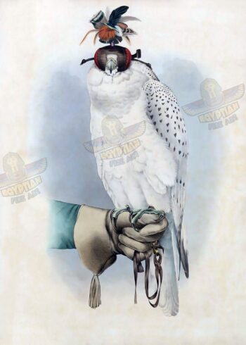 White Falcon Painting - Hand Painted Oil Painting On Canvas