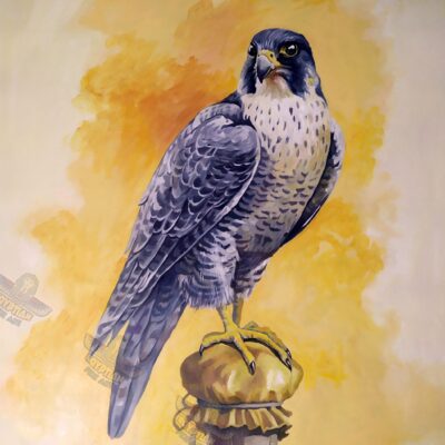 Gray Falcon On Fire - Hand Painted Oil Painting On Canvas